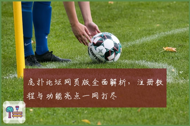 虎扑论坛网页版全面解析,注册教程与功能亮点一网打尽
