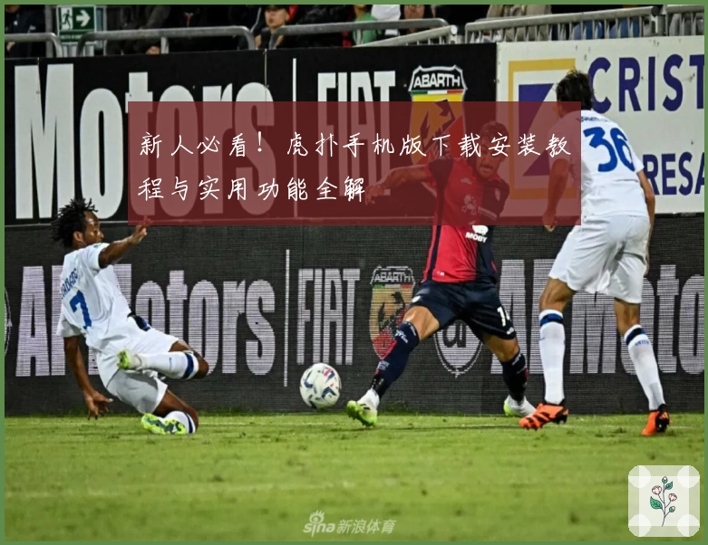 新人必看！虎扑手机版下载安装教程与实用功能全解