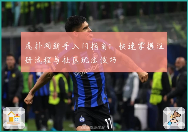 虎扑网新手入门指南：快速掌握注册流程与社区玩法技巧