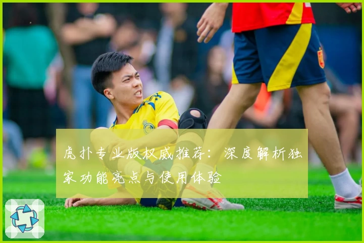 虎扑专业版权威推荐：深度解析独家功能亮点与使用体验