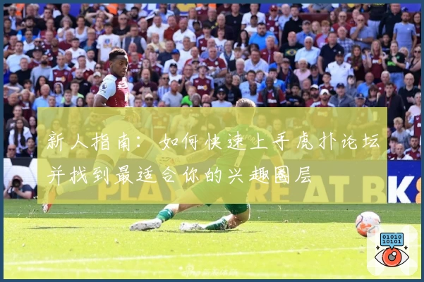 新人指南：如何快速上手虎扑论坛并找到最适合你的兴趣圈层
